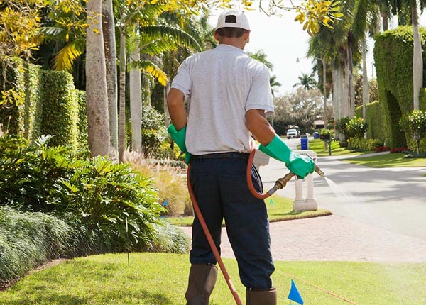 About Shannon City IA Pest Control